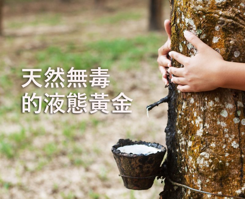 乳膠床墊｜瞬涼減壓床墊｜米羅柚木家居